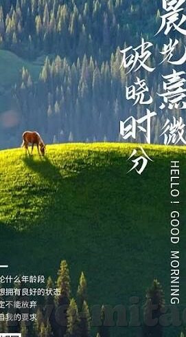 果冻传媒91cm166七夕-七夕佳节，果冻传媒91cm166的甜蜜献礼