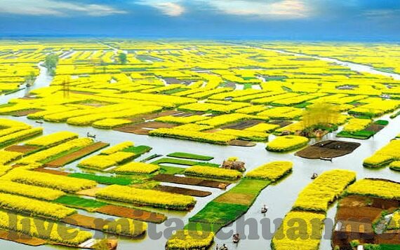 糖心app绿色-绿色应用新维度,糖心APP的生态友好实践